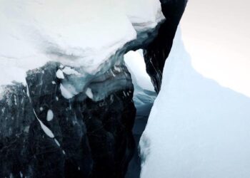 Nasce dottorato Scienze Polari, studia impatto cambio clima