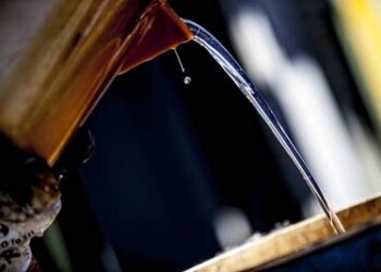 Nasce Itelyum, eccellenza dell’economia circolare
 