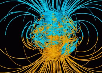 Nel cervello umano il senso perduto per il campo magnetico
