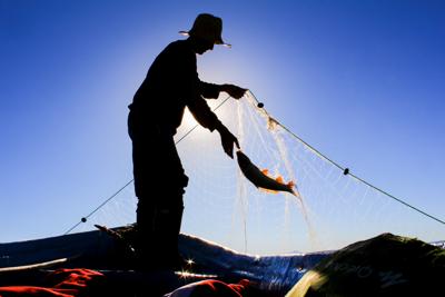 Attrezzi da pesca non biodegradabili, serve alternativa eco-friendly