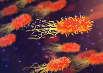 Più vicini i batteri su misura – VIDEO