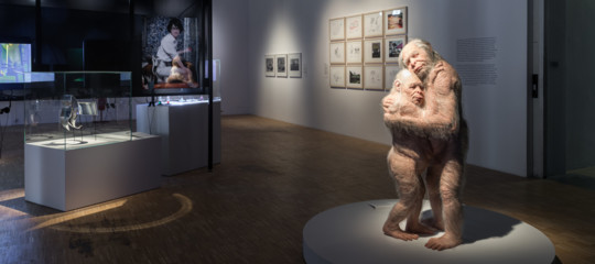 Ragazzi, il 15 marzo alla Triennale si entra gratis per protestare