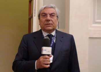 Rdc: il sociologo Roma, ‘mette insieme cose molto diverse, rischio confusione’
 