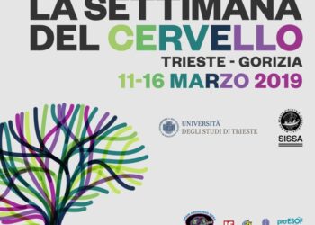 Ricerca: via a Settimana del Cervello