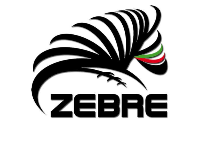 Rugby: Pro 14, Munster-Zebre 31-12