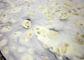 Schiuma nei corsi d’acqua, le indicazioni di Appa Trento