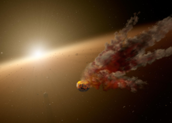 Scoperta una sorella della Tabby Star