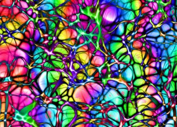 Settimana del cervello, in Europa si progetta il suo sosia in silicio