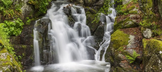 giornata acqua