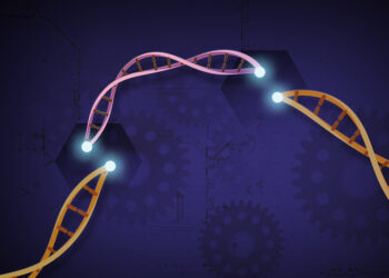 Taglia-incolla Dna, chiesta la moratoria per i test clinici