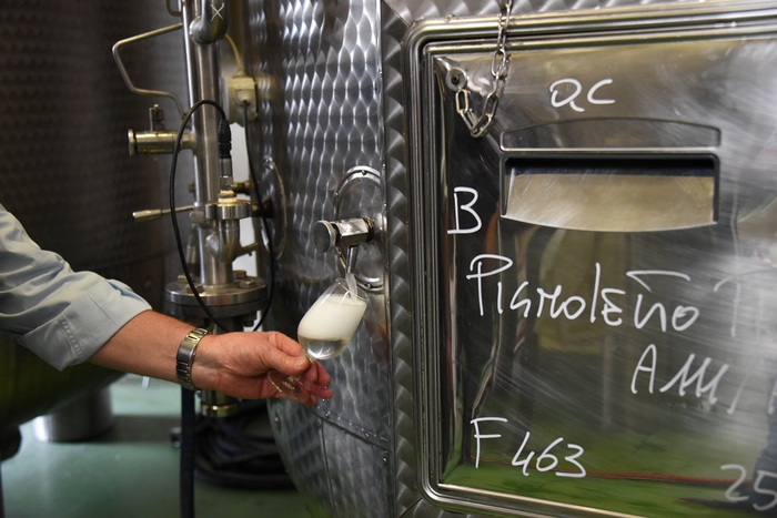 Vinitaly:120 etichette consorzi Pignoletto e Colli Bolognesi