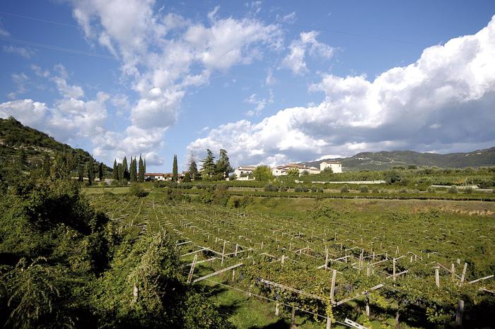 Vinitaly:c’e’ anche ‘padre’ dell’Amarone a edizione limitata