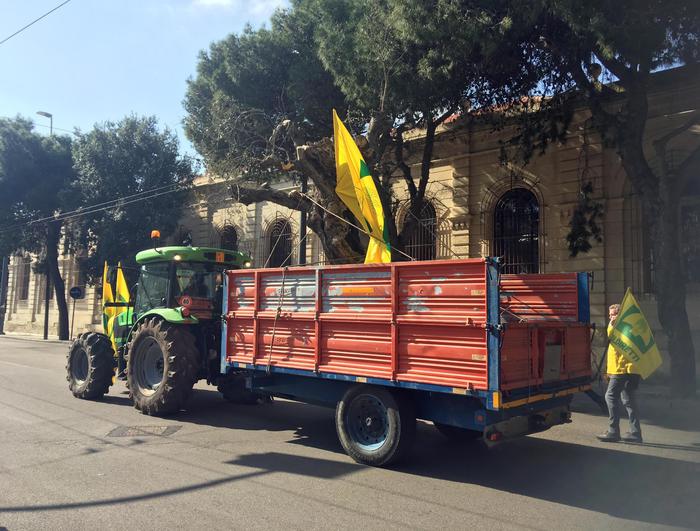 Xylella:Coldiretti, avanza 2 km al mese