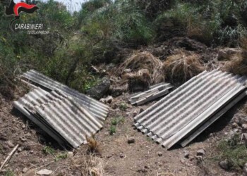 Abusivismo e scarico rifiuti in Parco
