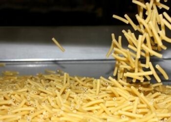 Agroalimentare, gennaio mese record per export Ue