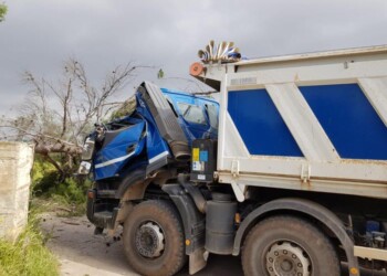 Albero su camion a Bari, ferito autista