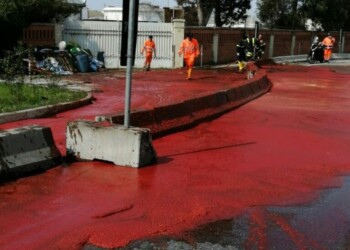 Camion perde pomodori, intervento vvf