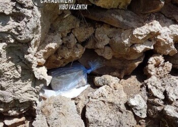 Carabinieri Vibo sequestrano armi e droga per 200mila euro