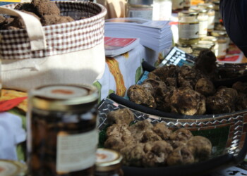 Città tartufo, vicepresidenza a Lombardi