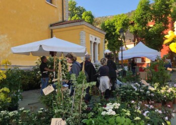 Con oltre 100 espositori,a Horti Tergestini natura in mostra