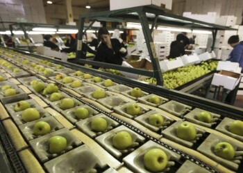 E’ online il primo ebook sulle startup italiane del food