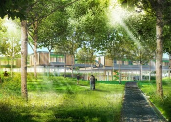 Hogan, da nuova Pac incentivi per imboschimento