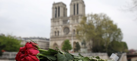 notre dame ricostruzione legno