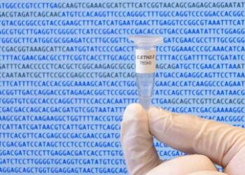 Il primo Dna di un organismo vivente generato da un computer