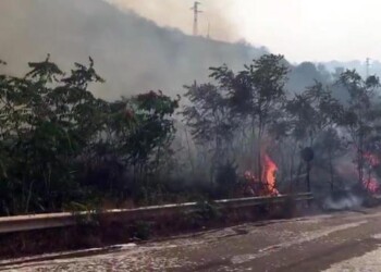 Incendi: roghi nel palermitano a causa del vento di scirocco