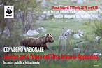 Insieme per l’orso bruno marsicano in Appennino