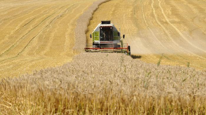 Ismea, 70 milioni a giovani imprenditori per acquisto dei terreni