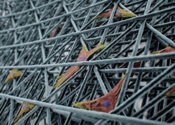 La stampa 3D entra nei laboratori di biologia per coltivare le cellule