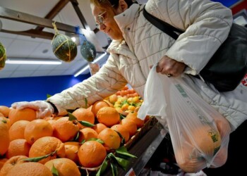 Le buste della spesa bio ancora integre dopo anni