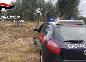 Mafia:2 arresti per omicidio sul Gargano