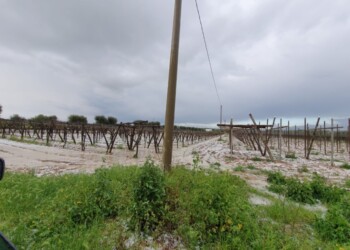 Maltempo: forte gradinata nel Tarantino