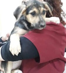 Messina: siamo sette fratellini, di cui tre femmine e quattro maschi.