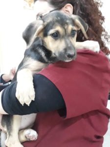 Messina: siamo sette fratellini, di cui tre femmine e quattro maschi.