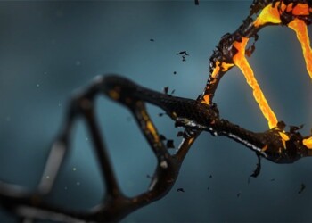 Nel Dna anche l’impronta della povertà