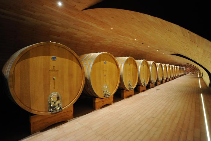 Ocm: Chianti, pronti investire 1 milione per promozione del vino