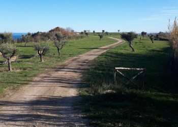 Pescara, gestione parchi ad Attiva Spa