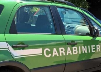 Piazzale costruito con rifiuti, denunce