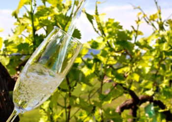 PRIMAVERA DEL PROSECCO SUPERIORE: APPUNTAMENTO CON LE RIVE DI COLBERTALDO E VIDOR