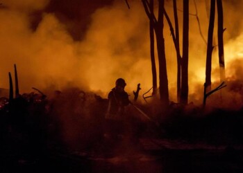 Rogo in una discarica abusiva a Roma