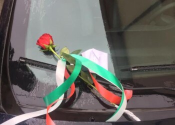 Rosa e messaggio di incoraggiamento a Cc