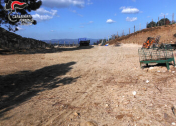 Sbancamento illegale a Cotronei,denuncia
