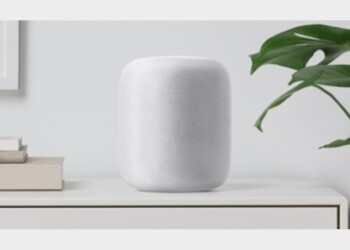 Smart speaker, oltre 50% case Usa in 2020