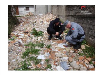 Sospetto resti umani in rifiuti cimitero