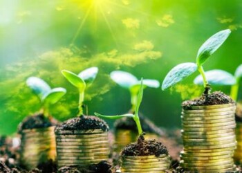 Sostenibilità: 5 mosse green per creare 800mila posti lavoro entro 2025
 