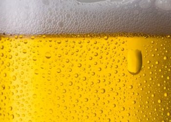 Sostenibilità: Carlsberg Italia lancia sfida, arriva piano climatico  