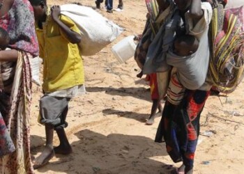 Sostenibilità: rapporto Ue-Fao-Wfp, 113 mln in 53 Paesi colpiti da fame acuta
 